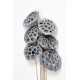 LOTUS PODS White Wash 16"-OUT OF STOCK